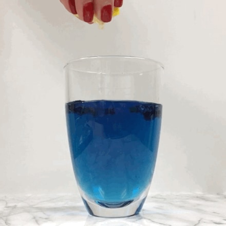 Dried Butterfly Pea Flowers Tea view 3