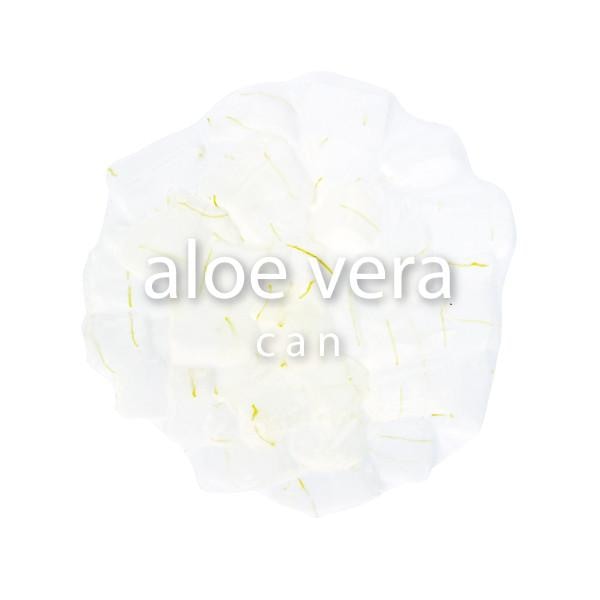 canned aloe vera in syrup - 1 view 1