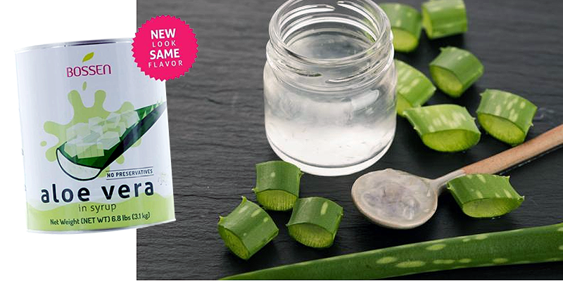 Three Easy & Healthy Aloe Vera Recipes