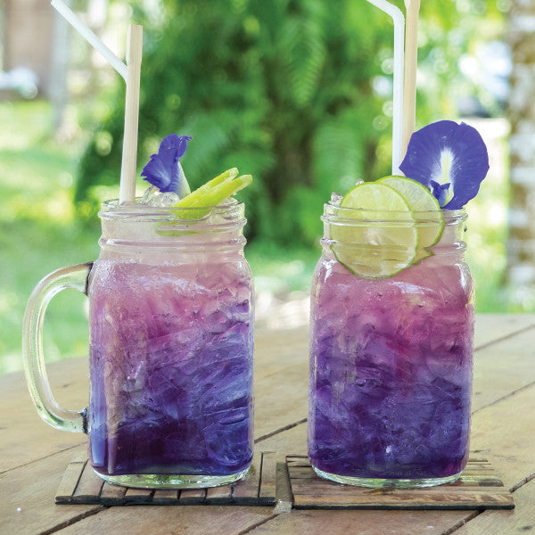Vibrant Butterfly Pea Flower Drink Recipes You’ll Love