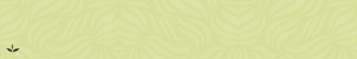 Green background with graphics on it and a small leaf pattern at the bottom left corner 
