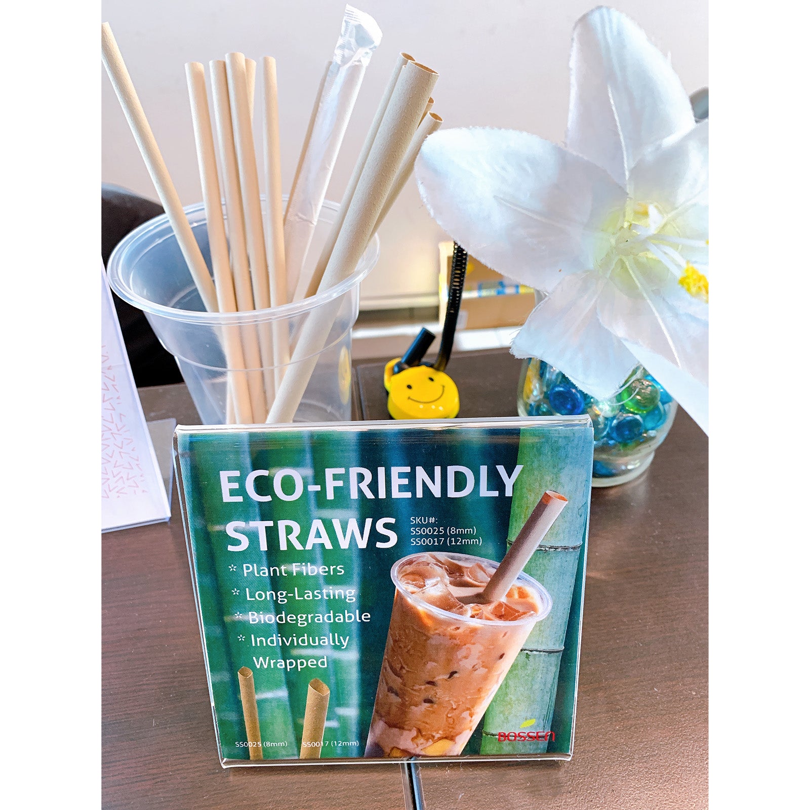 Boba Bamboo Fiber Straws, Individually Wrapped for Drinks, Bubble